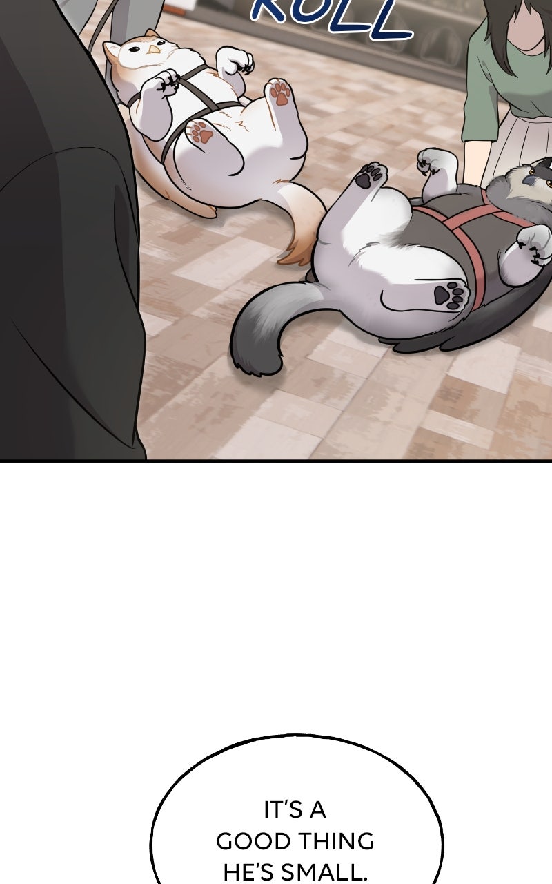 Hello, Little Griffin! Ep. 17 - Payday page 77 - 