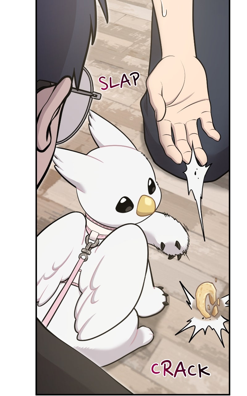 Hello, Little Griffin! Ep. 18 - I Think I Found Them page 12 - 