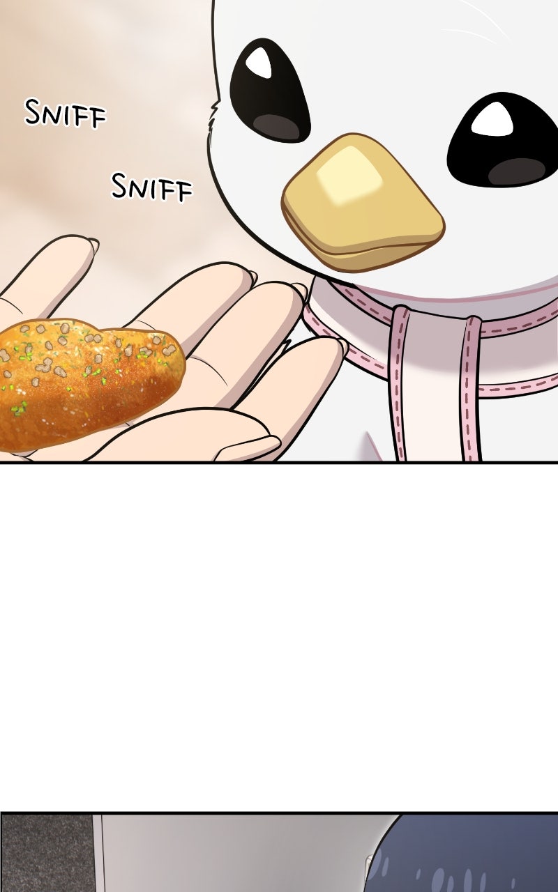 Hello, Little Griffin! Ep. 18 - I Think I Found Them page 3 - 