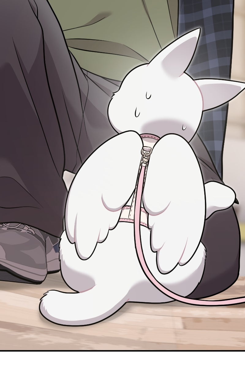 Hello, Little Griffin! Ep. 18 - I Think I Found Them page 37 - 