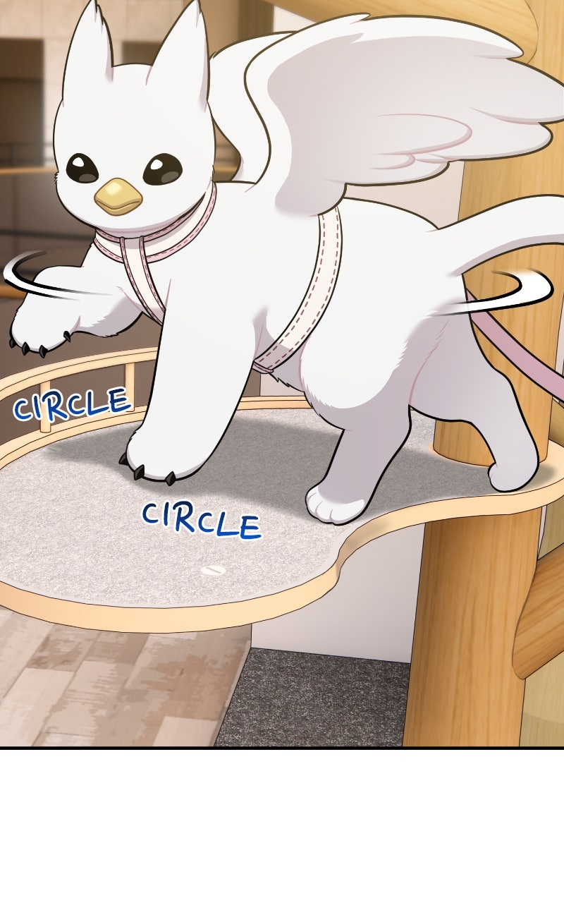 Hello, Little Griffin! Ep. 18 - I Think I Found Them page 58 - 