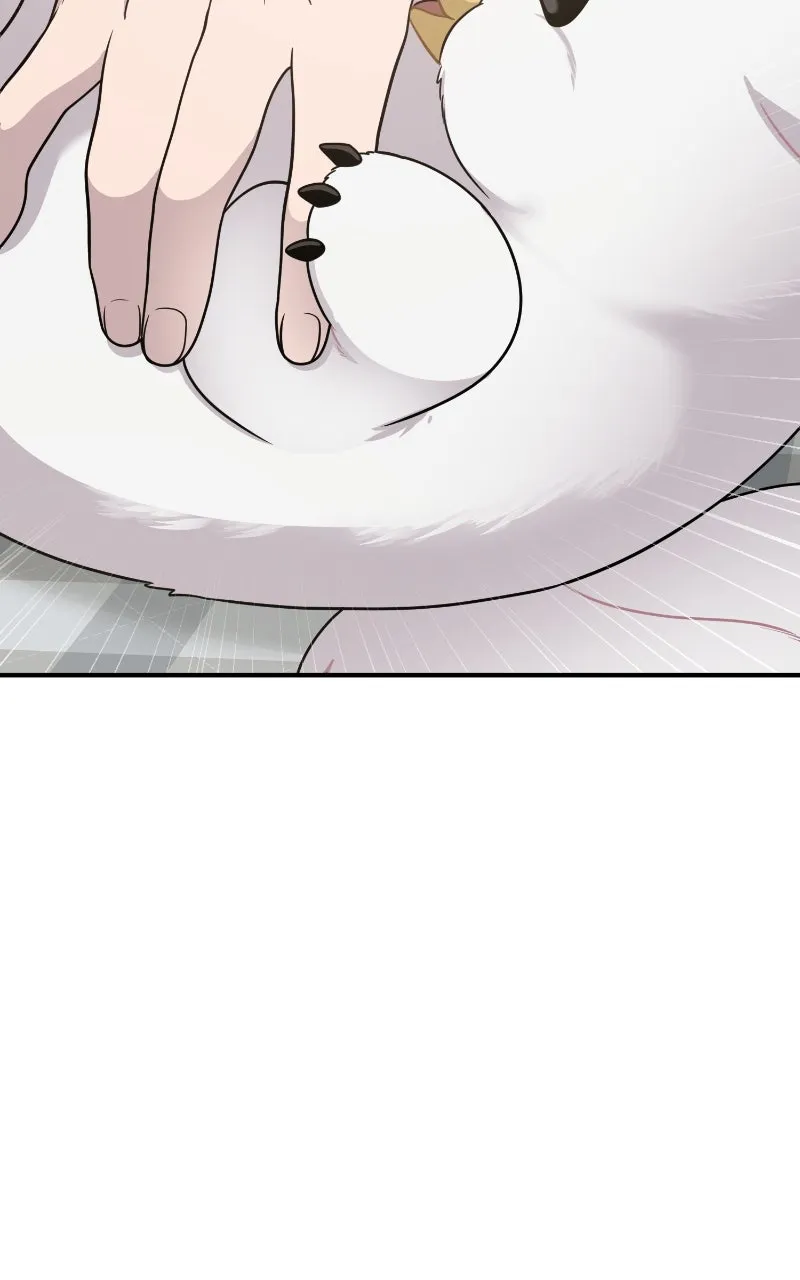 Hello, Little Griffin! Chapter 2 page 102 - 