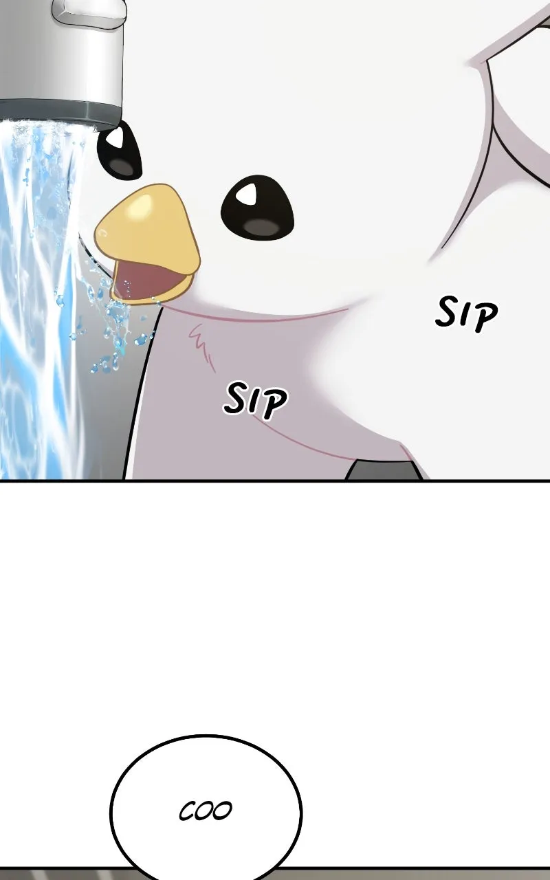 Hello, Little Griffin! Chapter 2 page 81 - 