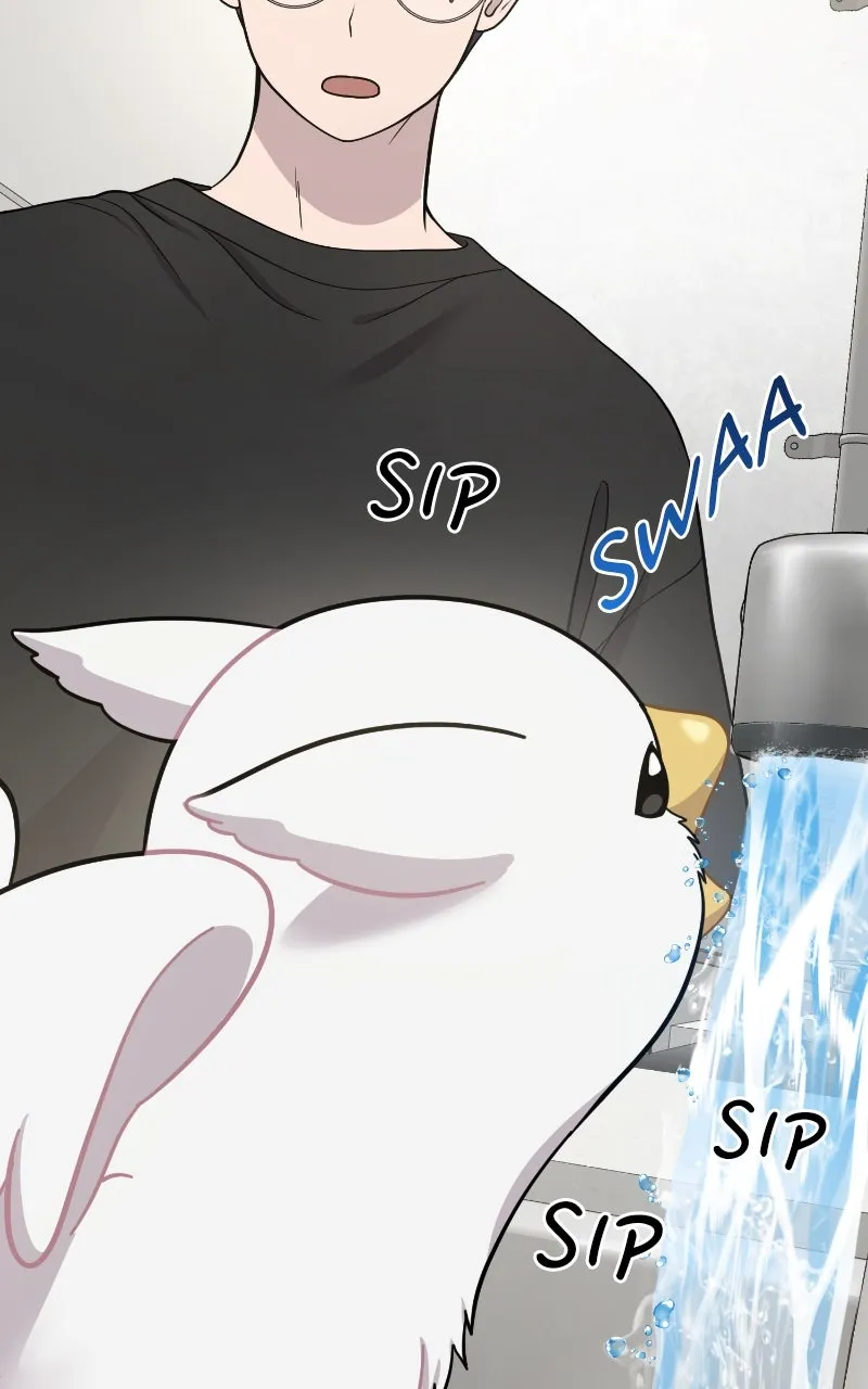 Hello, Little Griffin! Chapter 2 page 84 - 