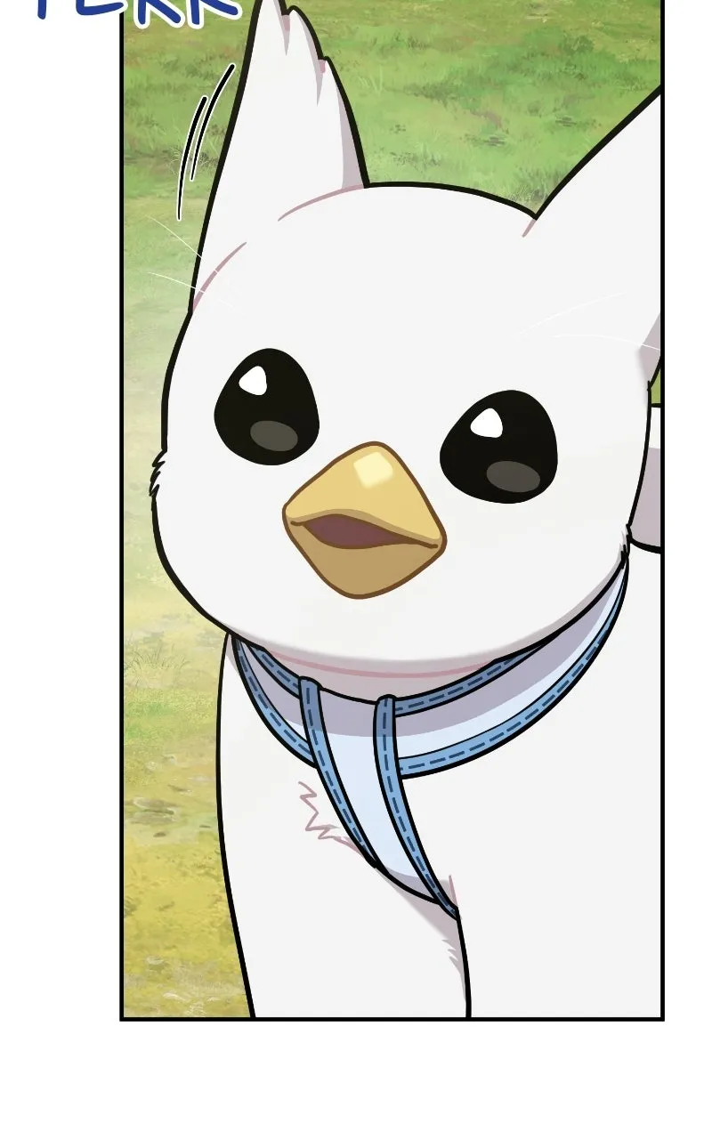 Hello, Little Griffin! Chapter 23 page 84 - 