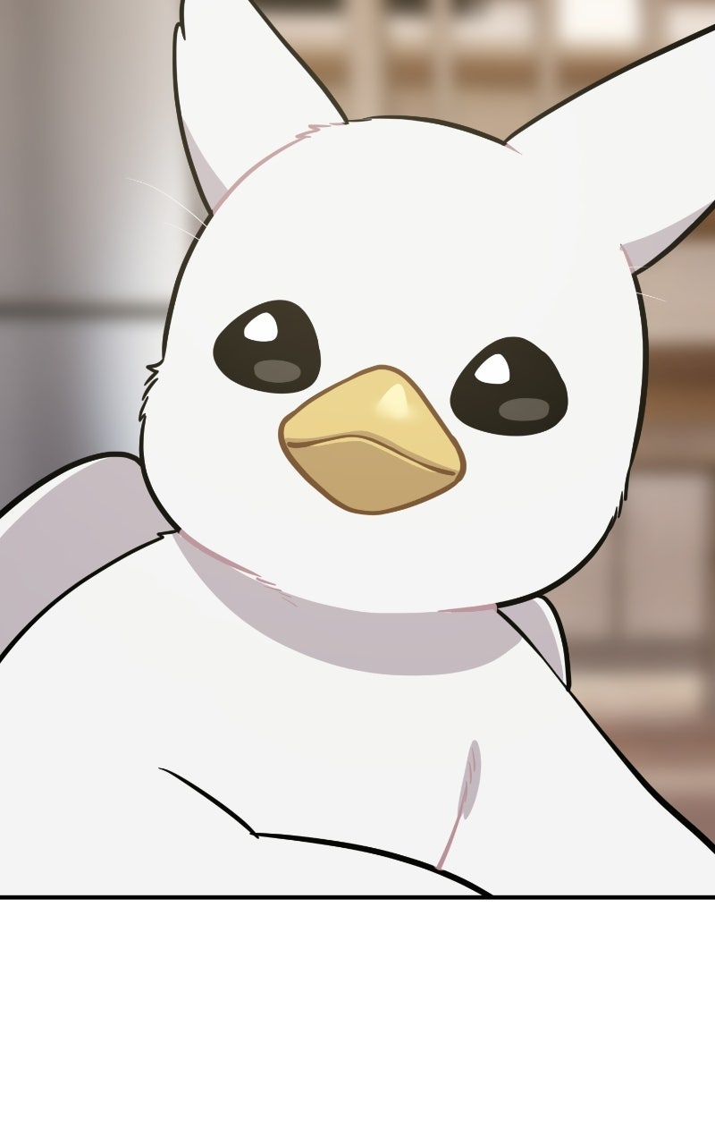 Hello, Little Griffin! Ep. 24 - Warm and Fluffy page 103 - 