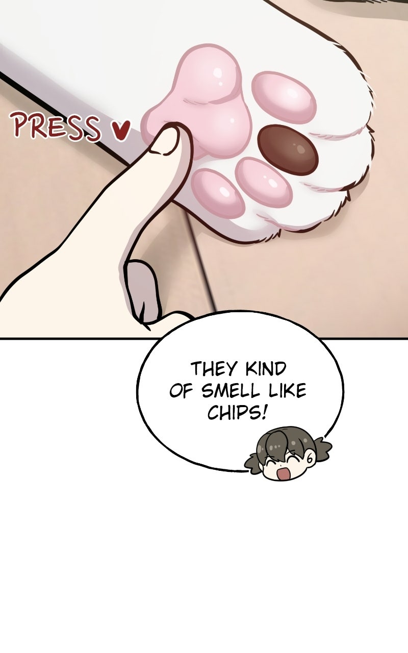 Hello, Little Griffin! Ep. 24 - Warm and Fluffy page 107 - 