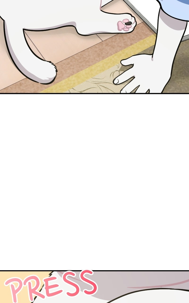 Hello, Little Griffin! Ep. 24 - Warm and Fluffy page 109 - 