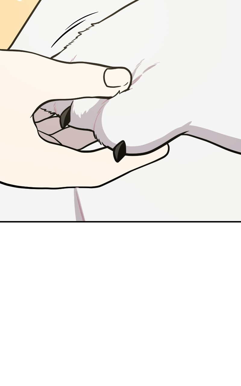 Hello, Little Griffin! Ep. 24 - Warm and Fluffy page 110 - 