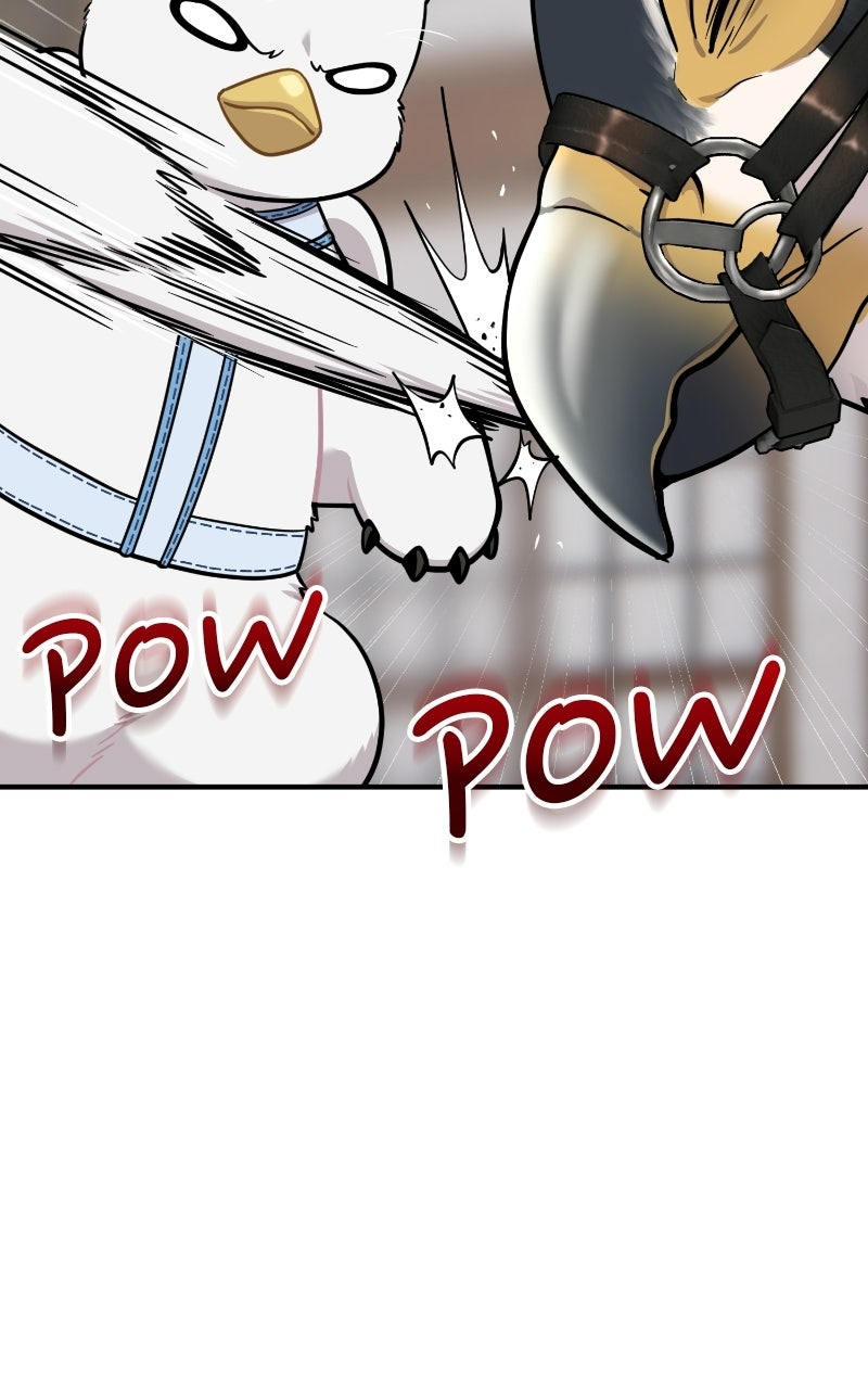 Hello, Little Griffin! Ep. 24 - Warm and Fluffy page 70 - 