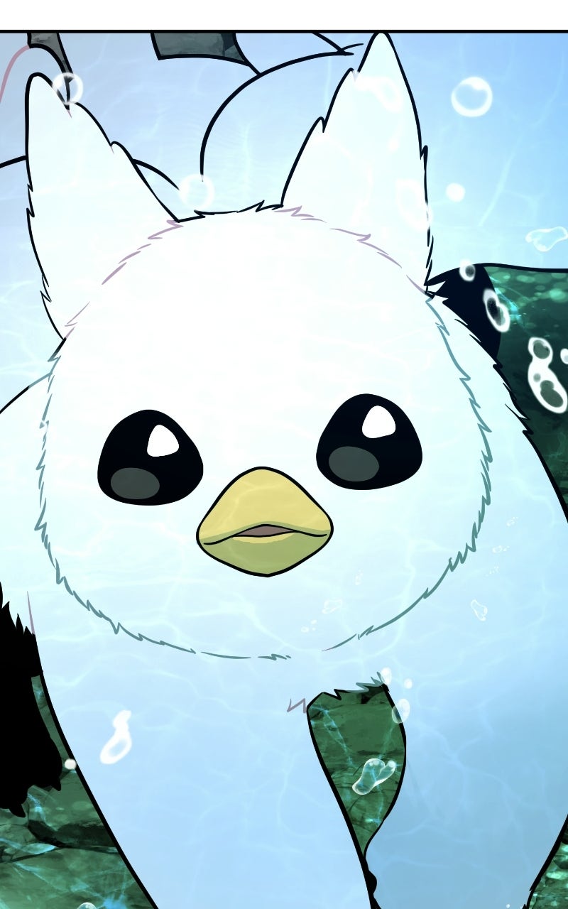 Hello, Little Griffin! Ep. 25 - Splashin