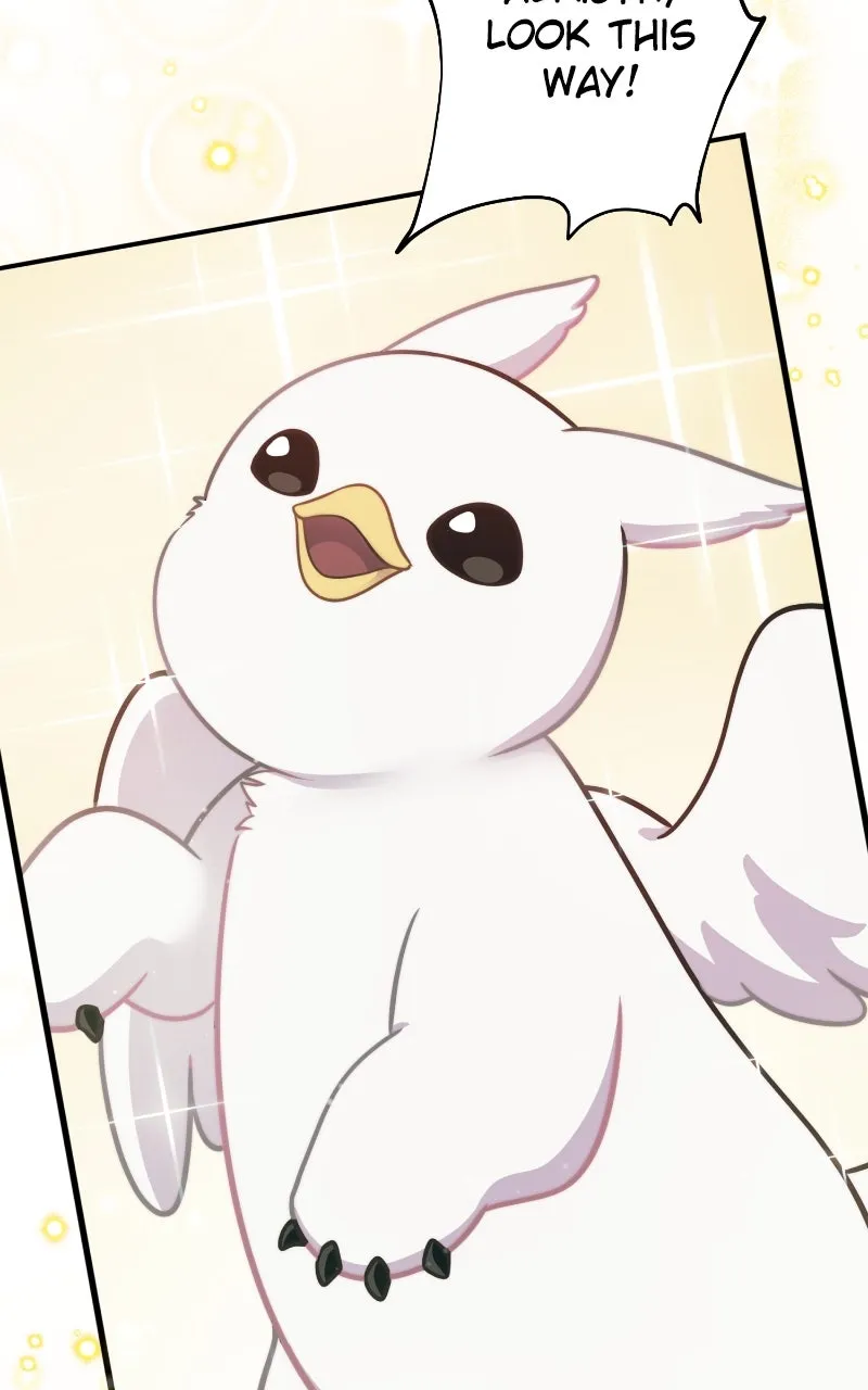 Hello, Little Griffin! Chapter 3 page 62 - 