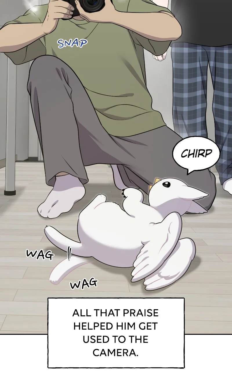 Hello, Little Griffin! Chapter 3 page 67 - 