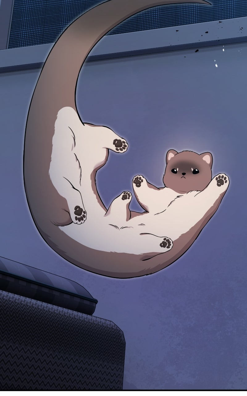 Hello, Little Griffin! Ep. 30 - Intruder page 54 - 