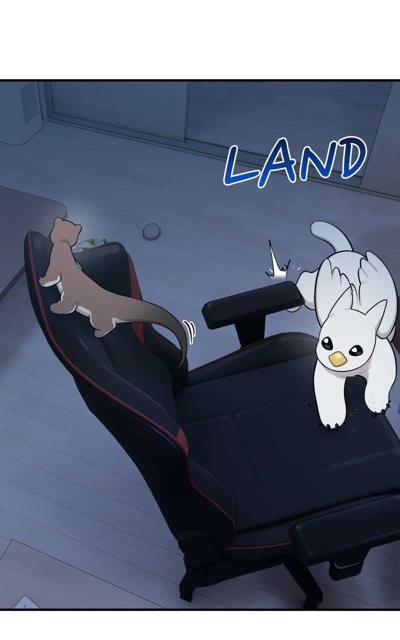 Hello, Little Griffin! Ep. 30 - Intruder page 72 - 