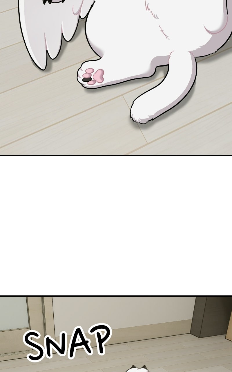 Hello, Little Griffin! Ep. 32 - Silky Griffins page 2 - 