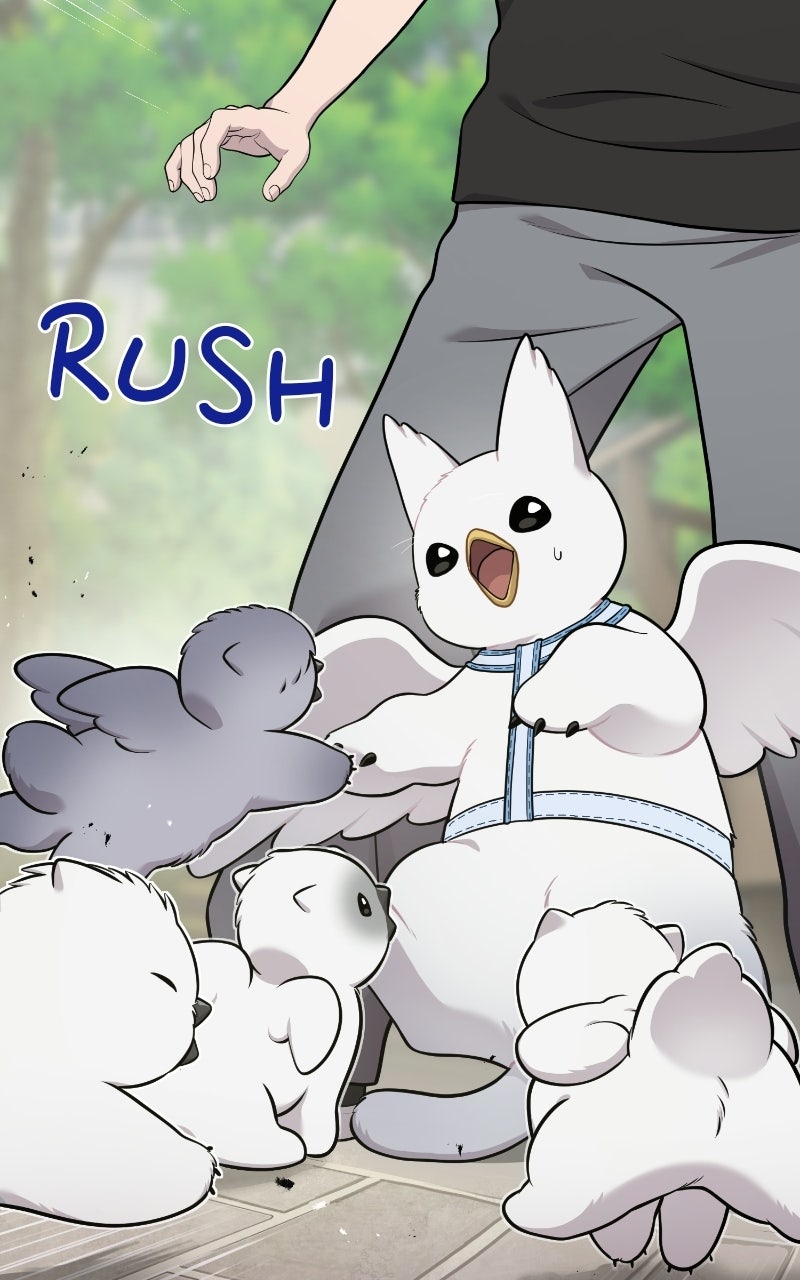 Hello, Little Griffin! Ep. 32 - Silky Griffins page 101 - 