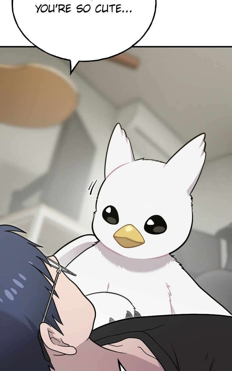 Hello, Little Griffin! Ep. 32 - Silky Griffins page 20 - 