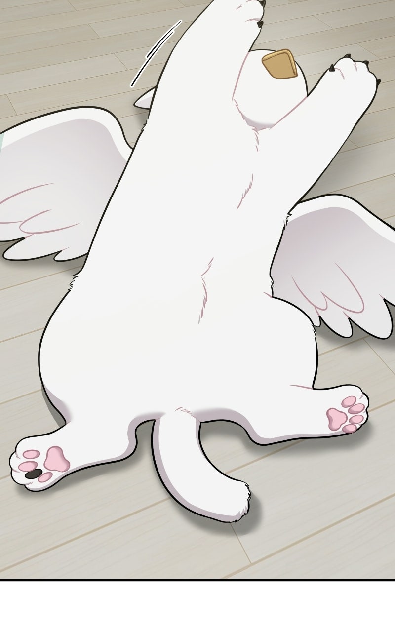 Hello, Little Griffin! Ep. 32 - Silky Griffins page 3 - 