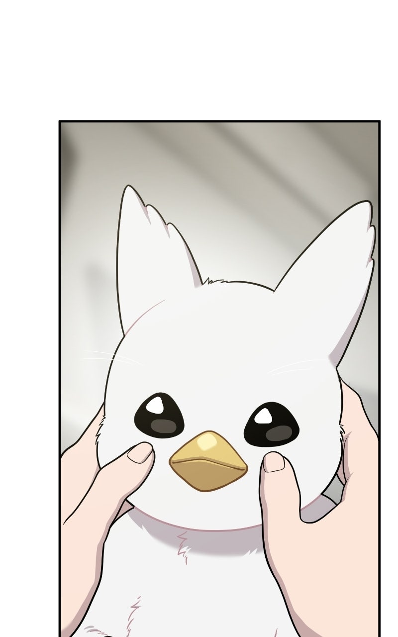 Hello, Little Griffin! Ep. 32 - Silky Griffins page 23 - 