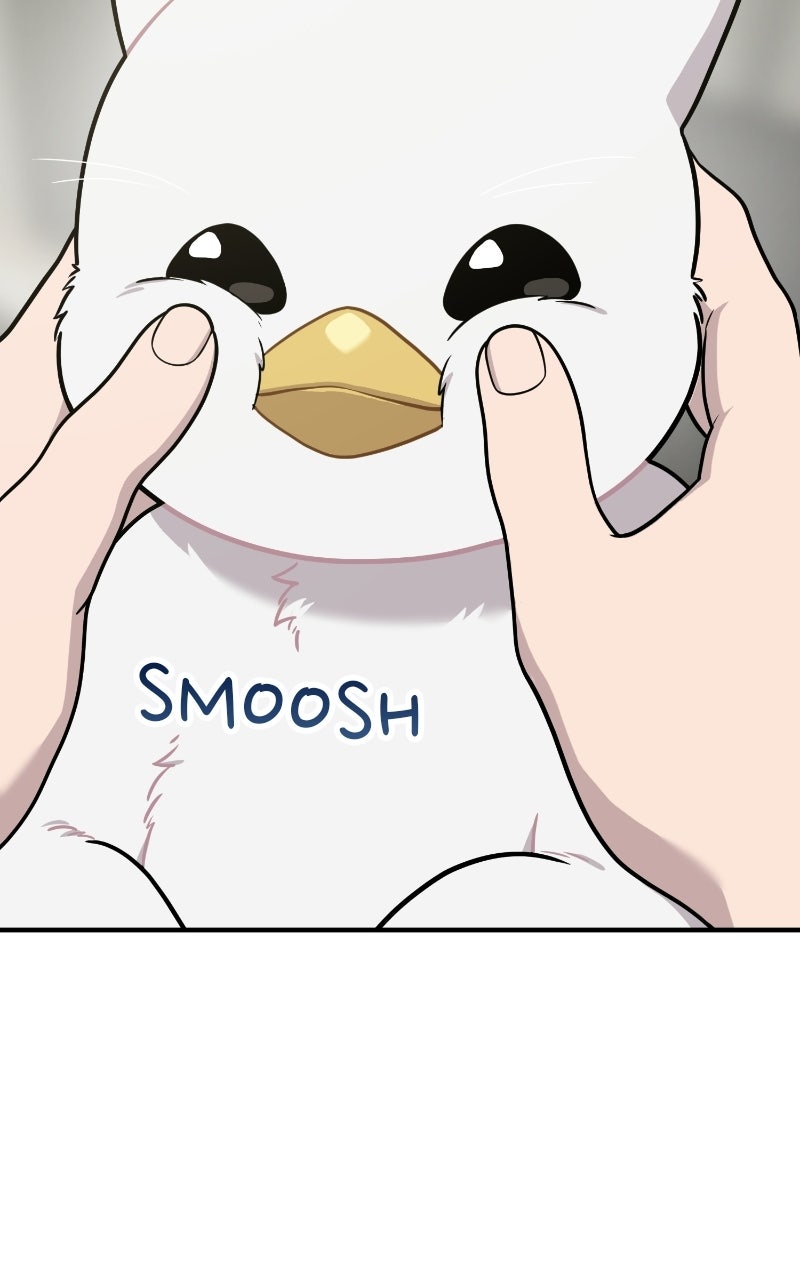 Hello, Little Griffin! Ep. 32 - Silky Griffins page 25 - 