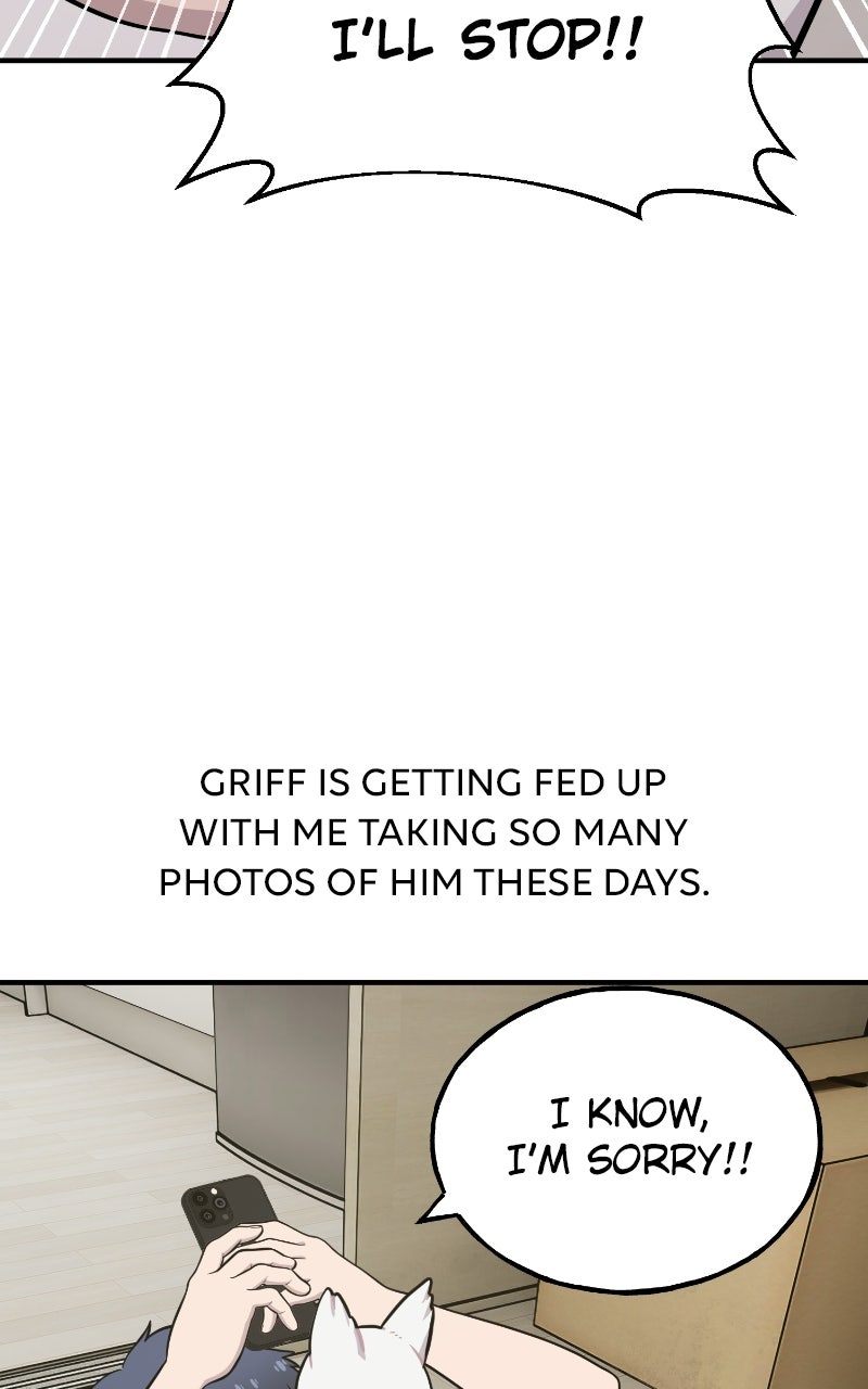Hello, Little Griffin! Ep. 32 - Silky Griffins page 7 - 