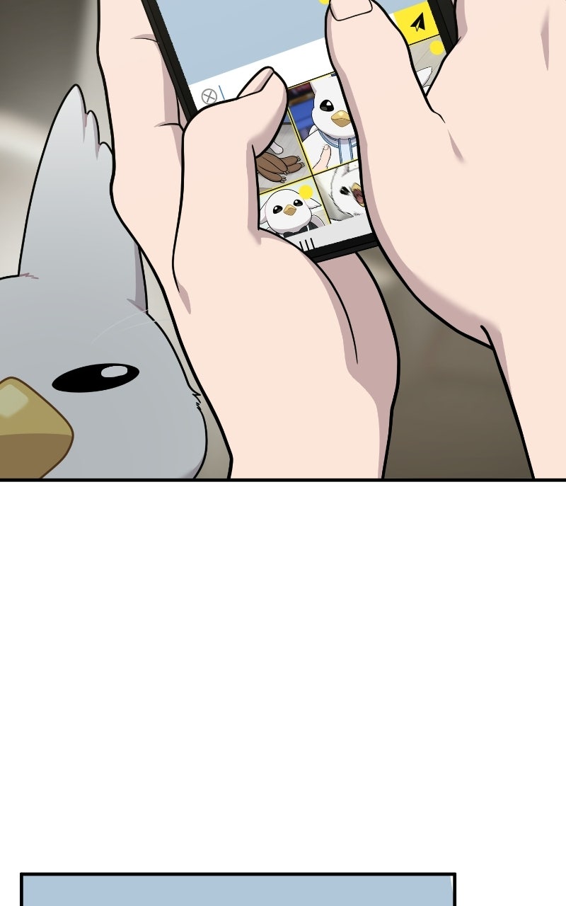 Hello, Little Griffin! Ep. 32 - Silky Griffins page 10 - 