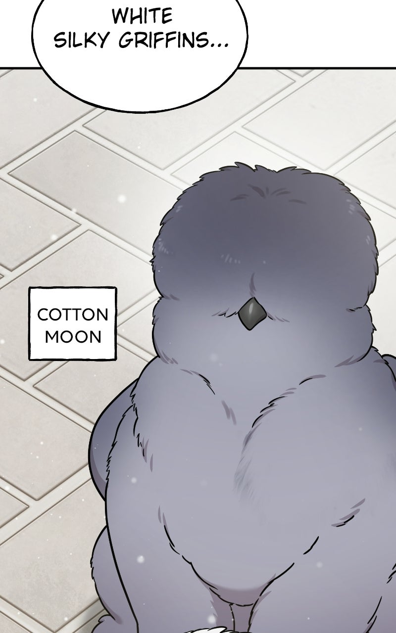 Hello, Little Griffin! Ep. 32 - Silky Griffins page 93 - 
