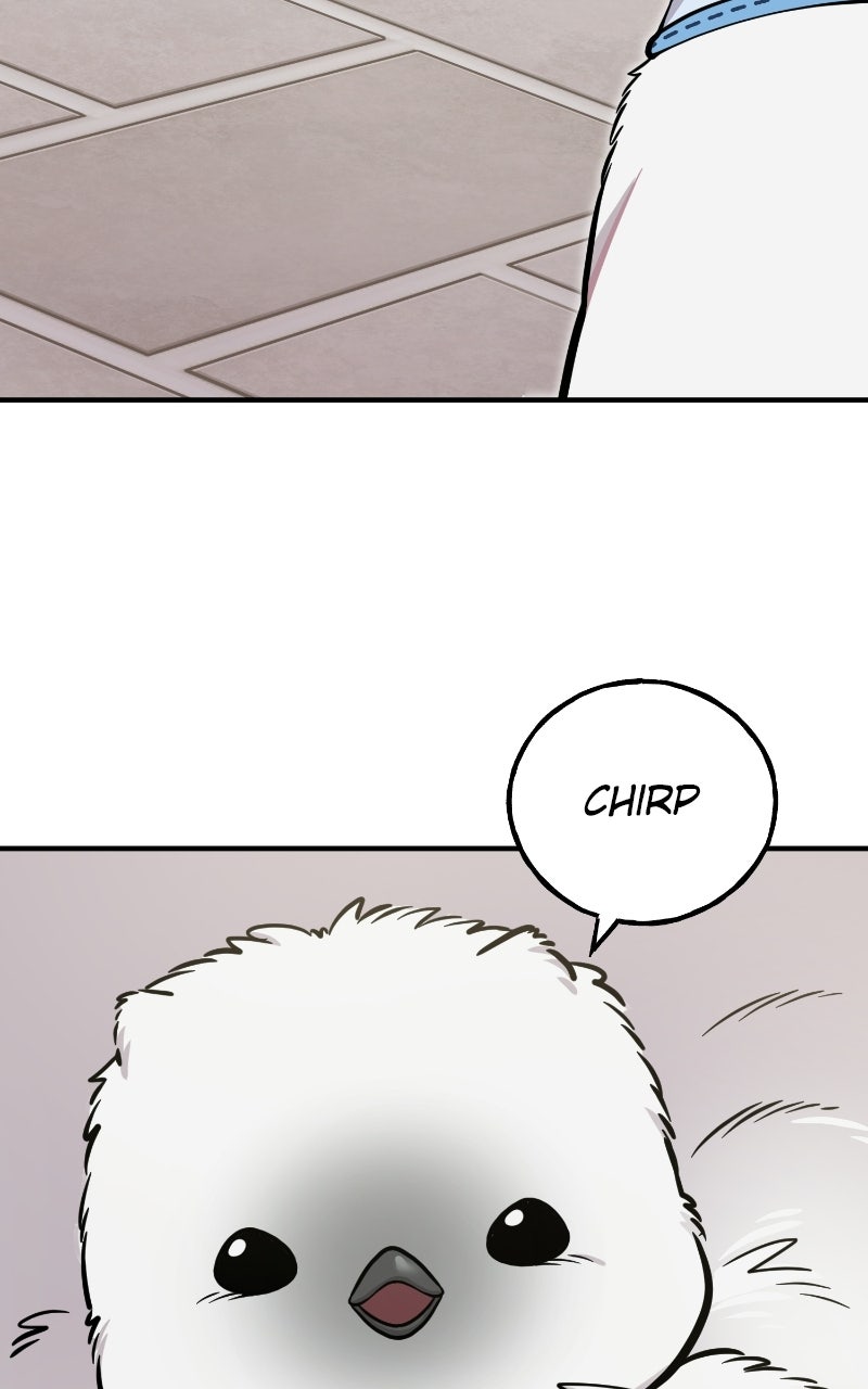 Hello, Little Griffin! Ep. 32 - Silky Griffins page 97 - 