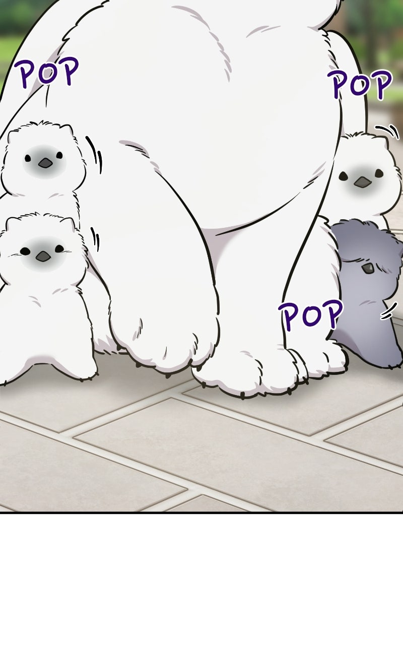 Hello, Little Griffin! Ep. 32 - Silky Griffins page 99 - 