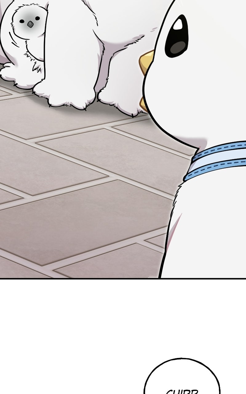 Hello, Little Griffin! Ep. 33 - Chickies page 2 - 