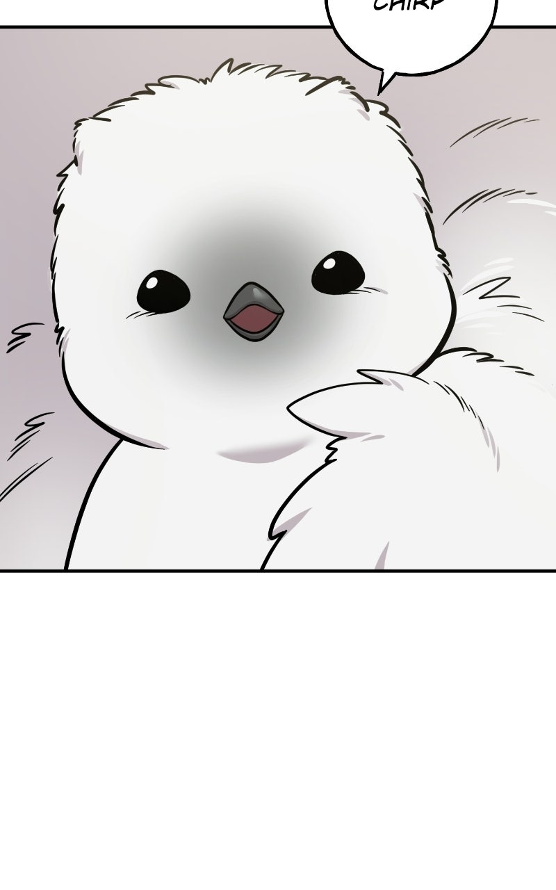 Hello, Little Griffin! Ep. 33 - Chickies page 3 - 