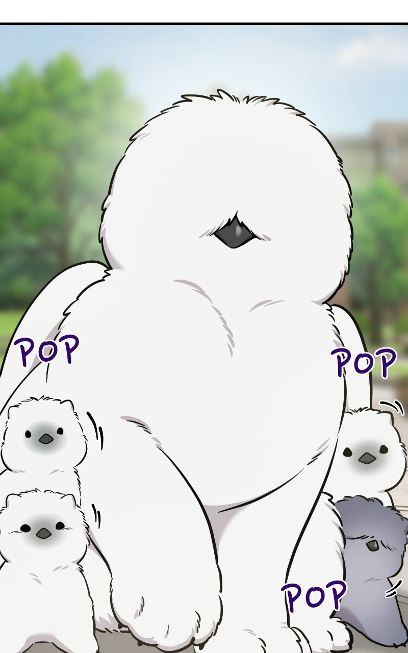Hello, Little Griffin! Ep. 33 - Chickies page 4 - 