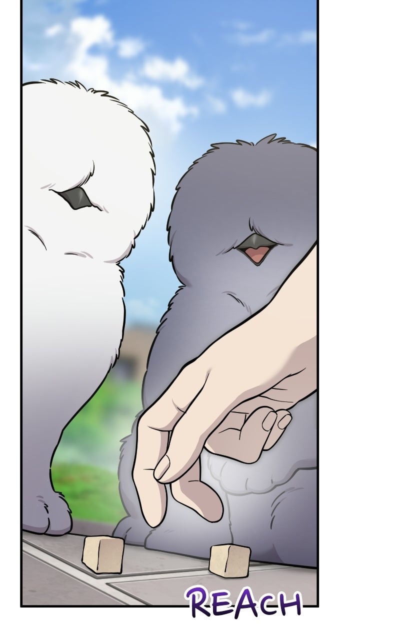 Hello, Little Griffin! Ep. 33 - Chickies page 43 - 