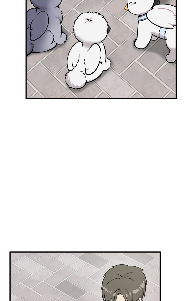 Hello, Little Griffin! Ep. 33 - Chickies page 48 - 