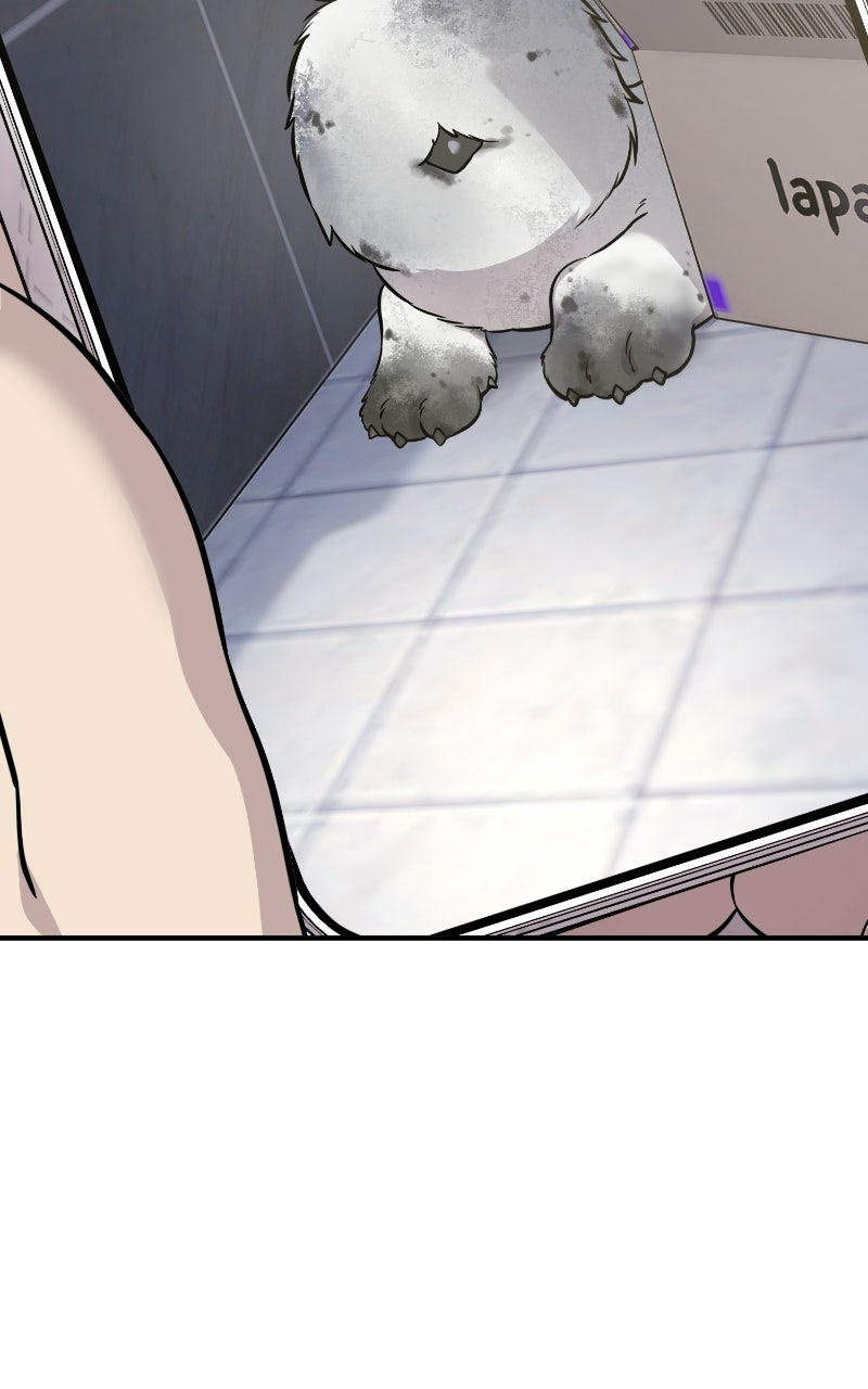 Hello, Little Griffin! Ep. 33 - Chickies page 69 - 