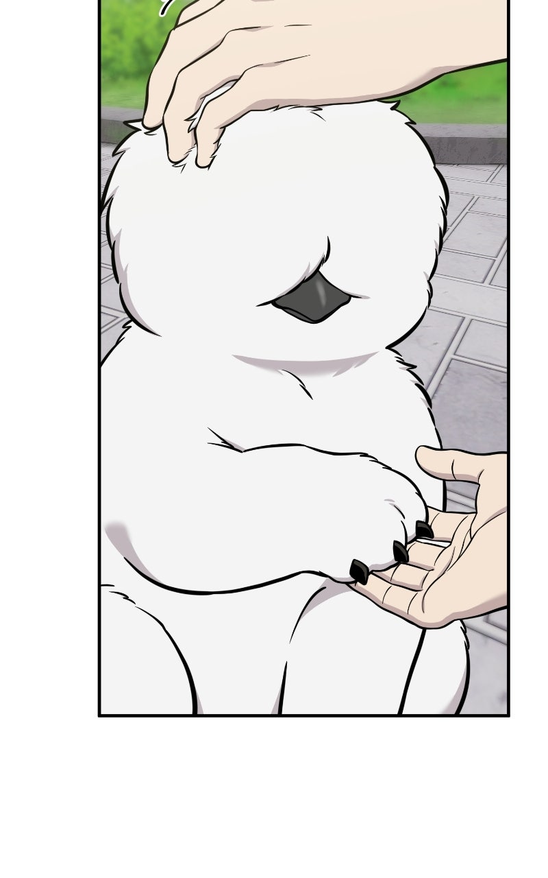 Hello, Little Griffin! Ep. 33 - Chickies page 85 - 