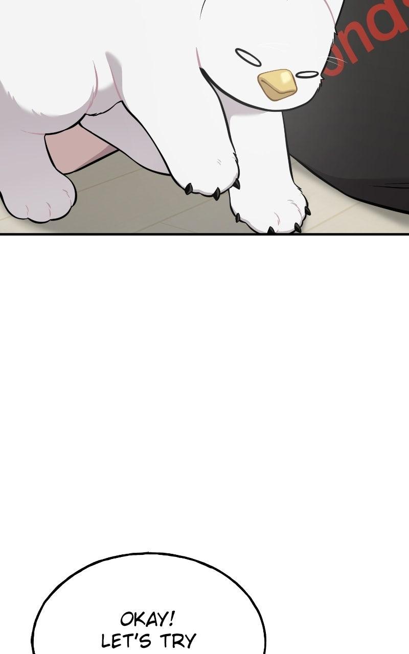 Hello, Little Griffin! Chapter 34 page 41 - 