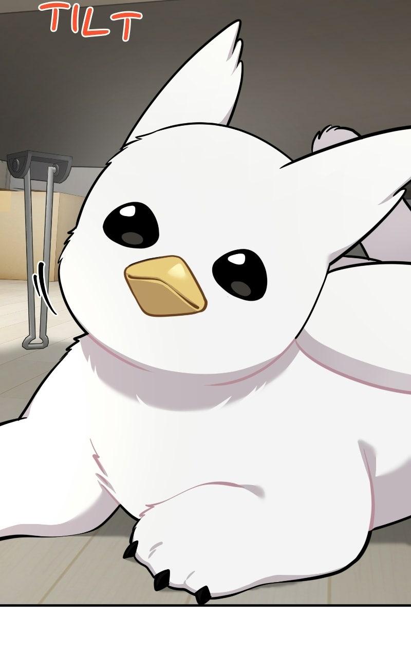 Hello, Little Griffin! Chapter 34 page 52 - 