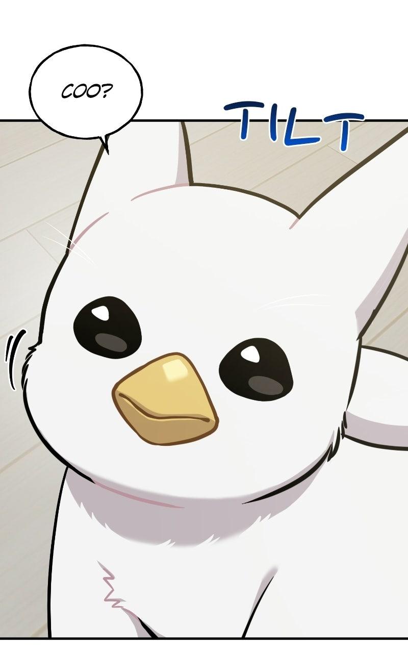 Hello, Little Griffin! Chapter 34 page 75 - 