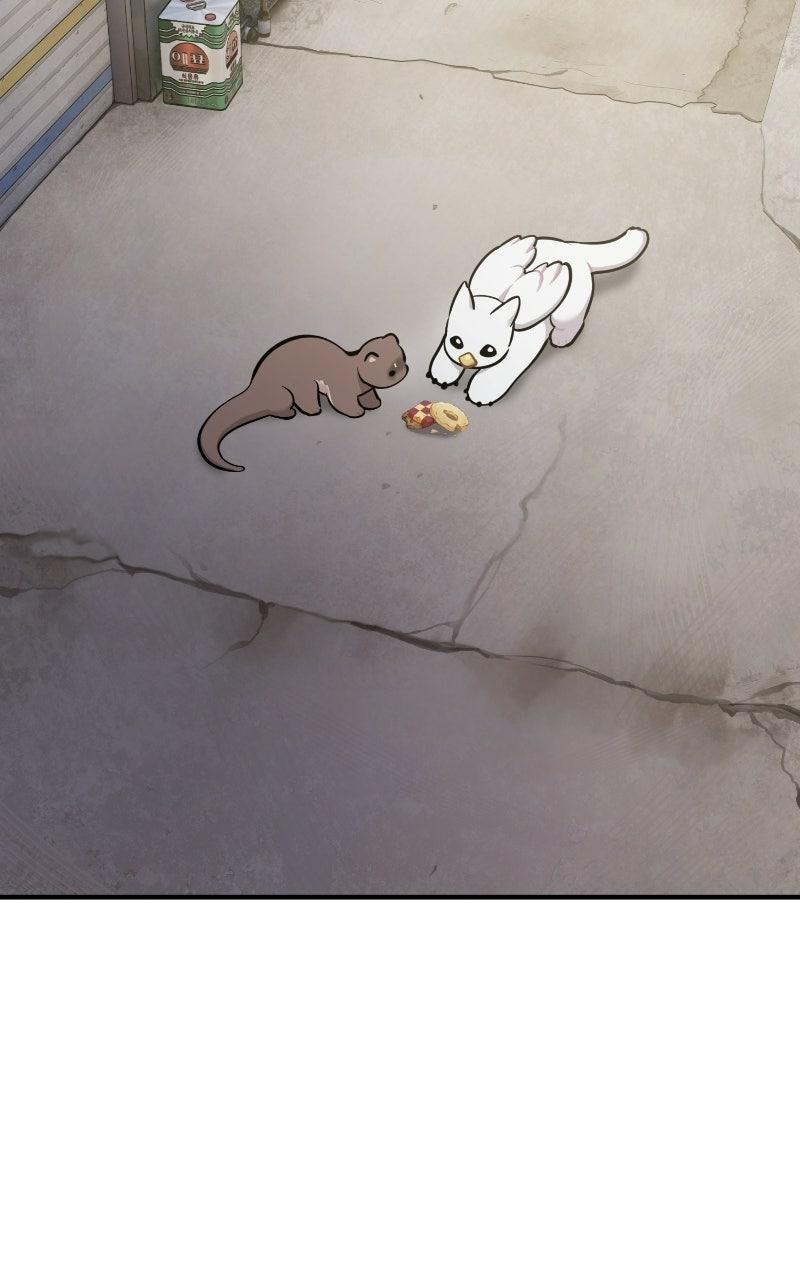 Hello, Little Griffin! Chapter 35 page 103 - 