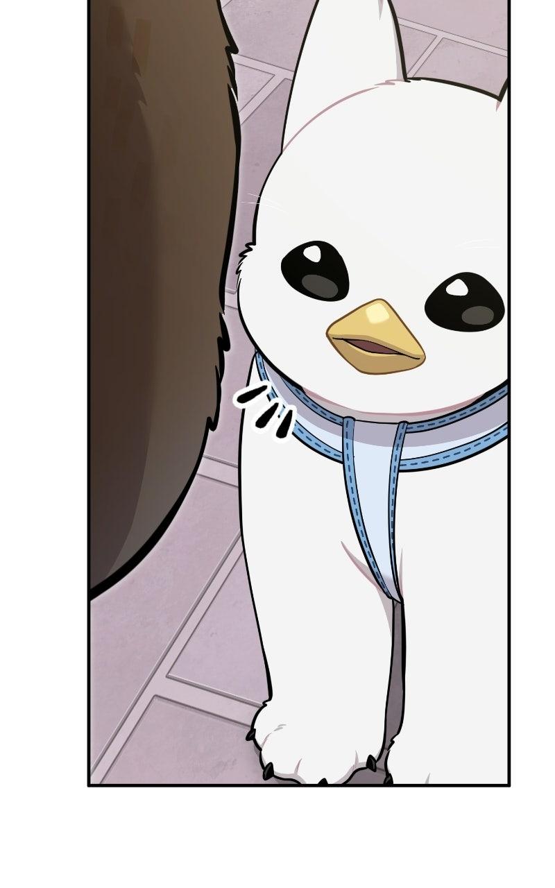 Hello, Little Griffin! Chapter 35 page 42 - 