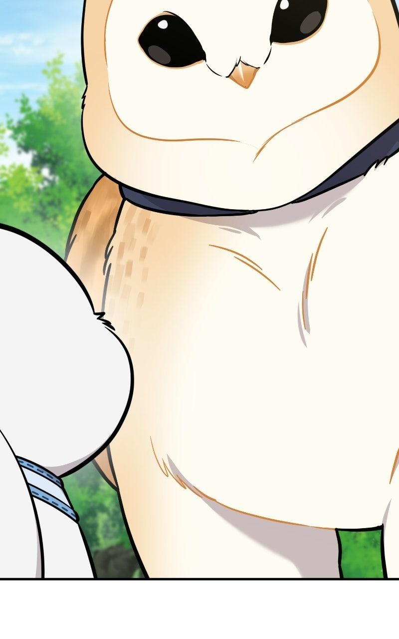 Hello, Little Griffin! Chapter 35 page 44 - 