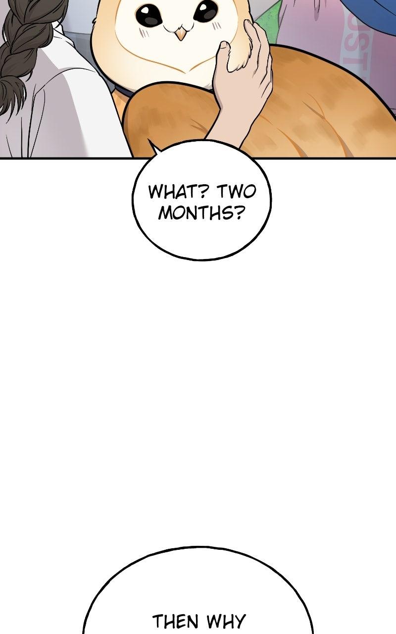 Hello, Little Griffin! Chapter 35 page 53 - 