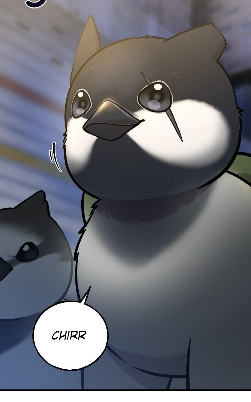 Hello, Little Griffin! Chapter 36 page 102 - 