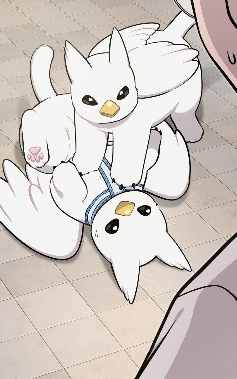 Hello, Little Griffin! Chapter 36 page 50 - 