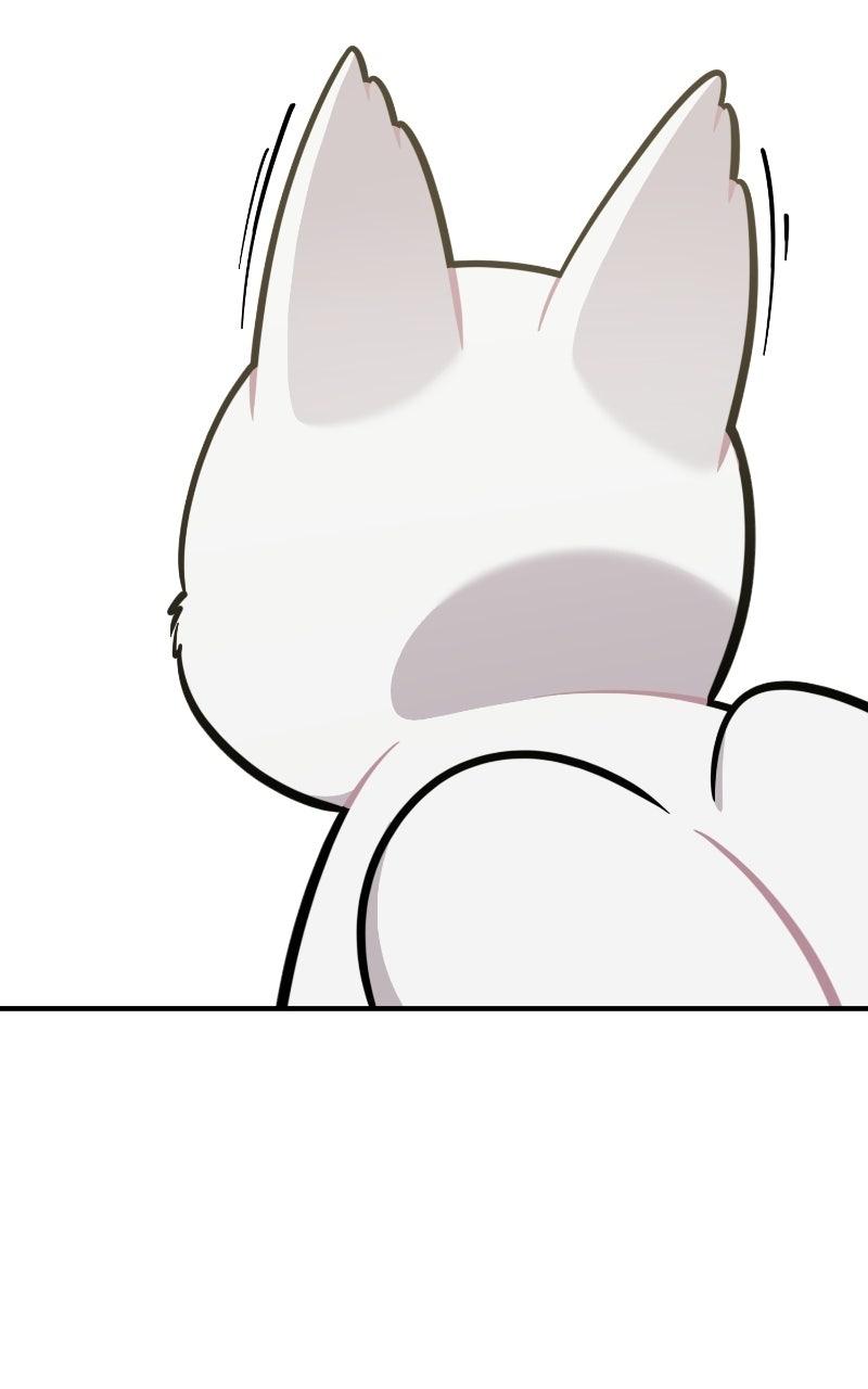 Hello, Little Griffin! Chapter 36 page 61 - 