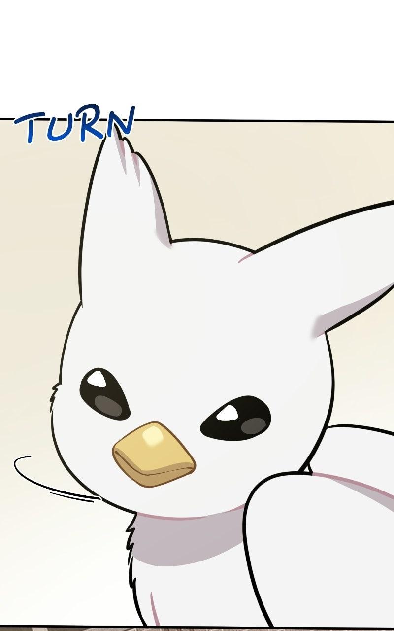 Hello, Little Griffin! Chapter 36 page 62 - 
