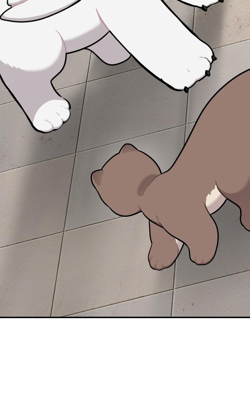 Hello, Little Griffin! Chapter 36 page 66 - 
