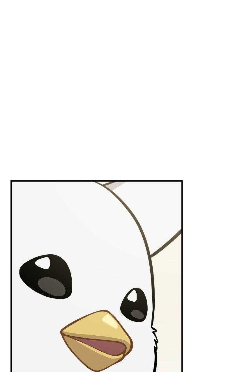Hello, Little Griffin! Chapter 36 page 67 - 